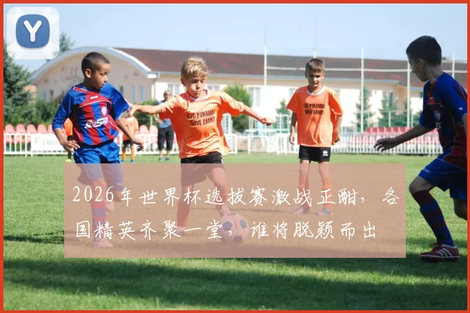 2026年世界杯选拔赛激战正酣，各国精英齐聚一堂，谁将脱颖而出